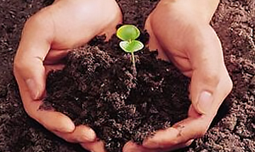 土壤污染治理與修復