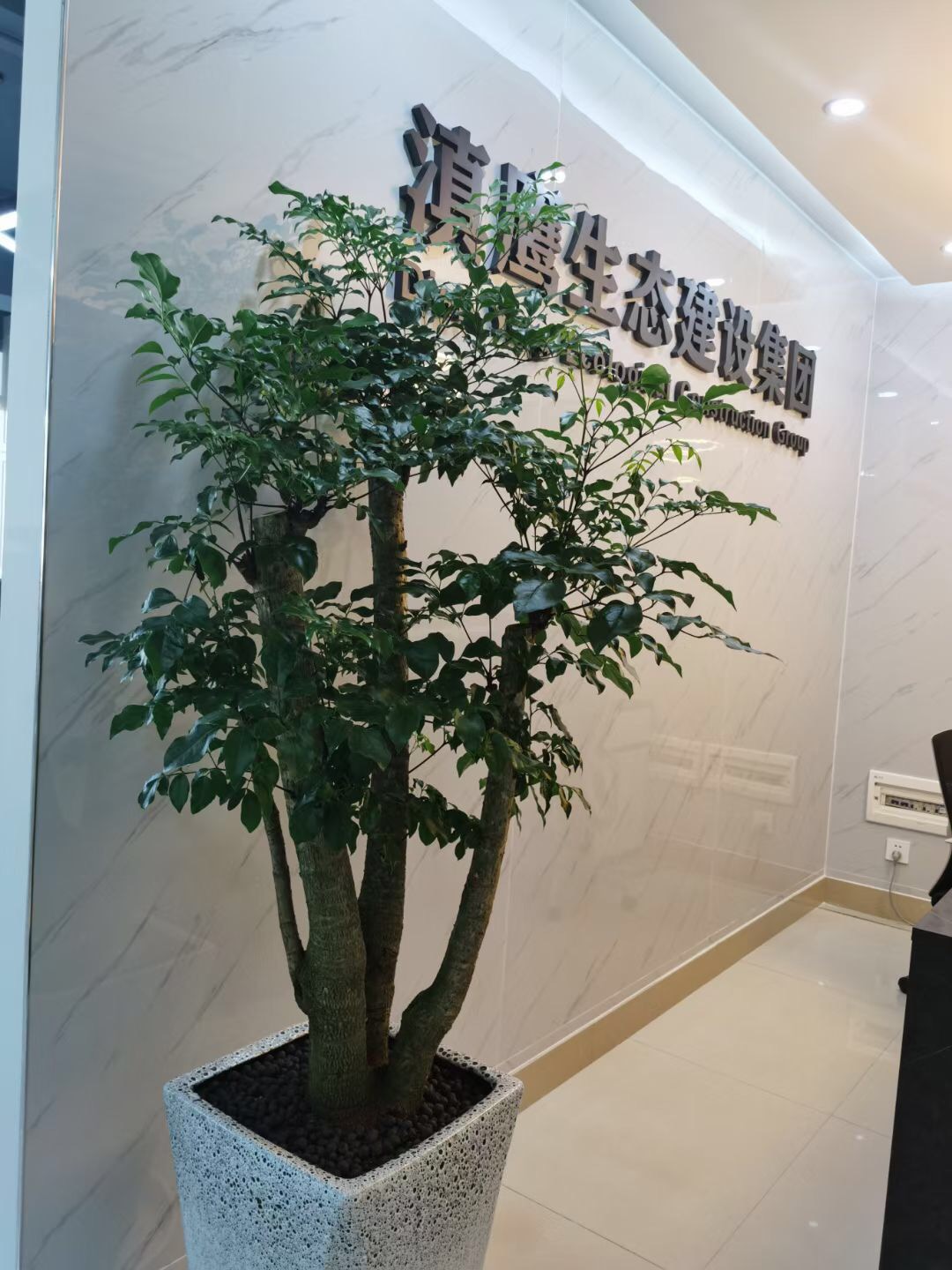 新年新氣象,辭舊辭逆傷